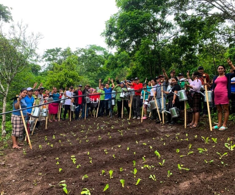 Instalan huerto en la comunidad Los Cocos, Wiwilí