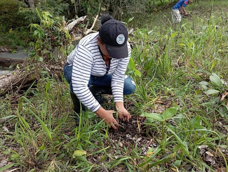 MARENA realiza jornada de reforestación en Reserva Natural