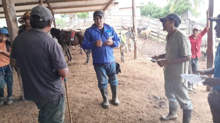 Realizan Feria de Enchapado Bovino en Bonanza