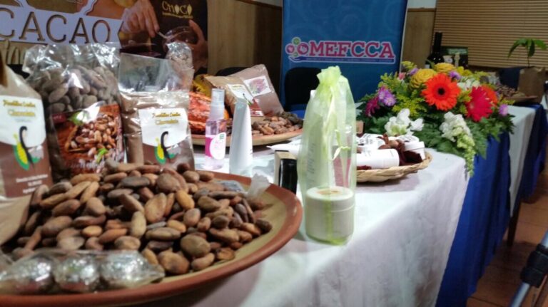 Estelí celebra el festival departamental del Chocolate