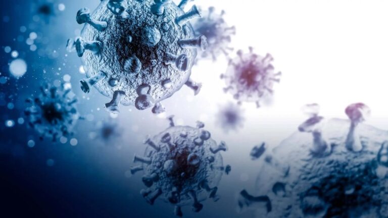 Reportan brote de virus de Chandipura en India