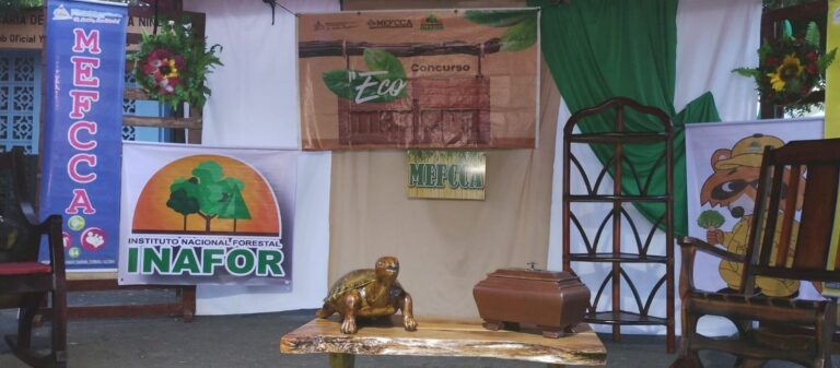 Lanzan el concurso Eco Madera en Chinandega