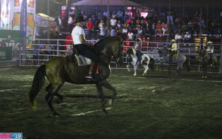 Realizan competencia de caballos trotadores y rodeo juvenil