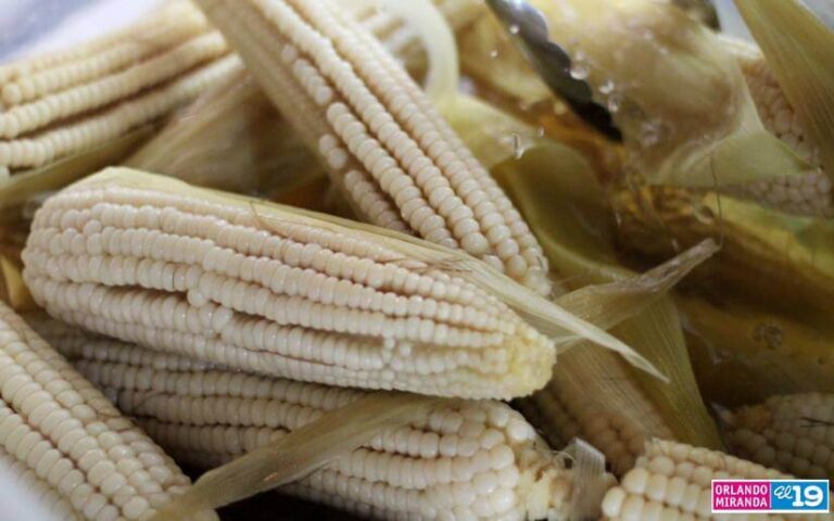 Realizan lanzamiento del Plan, Ferias y Festivales del Maíz