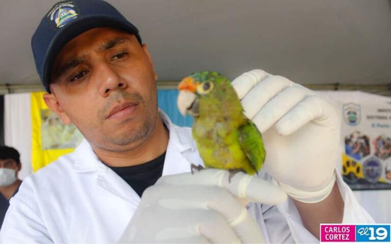 Sistema Penitenciario Nacional realiza II Feria de Salud Animal