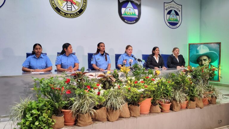 Más de 128 mil servicios fueron garantizados por el MINT esta semana