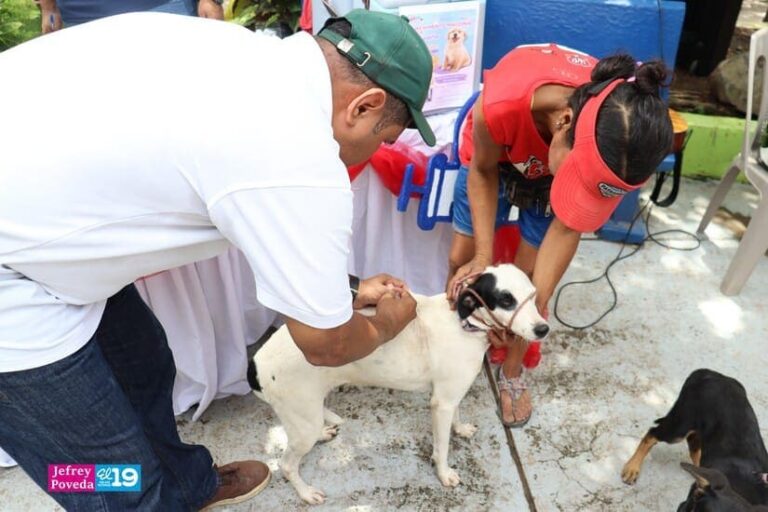 Campaña Nacional de Vacunación Canina inicia en Juigalpa