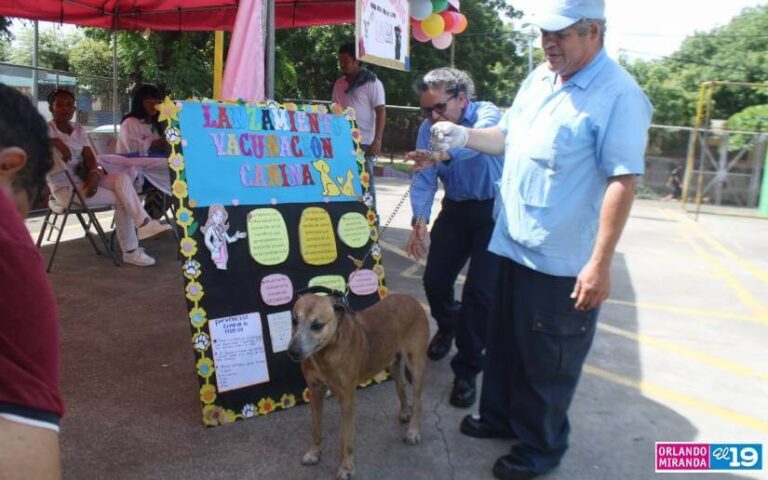 Más de 200 dosis serán aplicadas en la Campaña Nacional de Vacunación contra la Rabia Canina