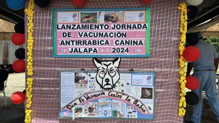 Desarrollan Jornada de Vacunación Canina en Jalapa