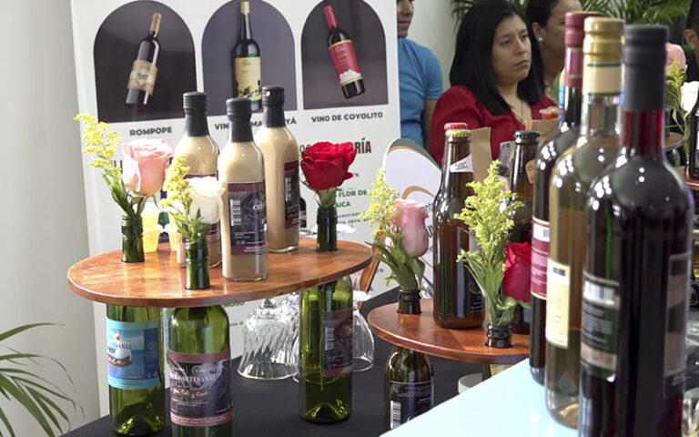 Finaliza IV Edición del programa Emprendedor Creativo