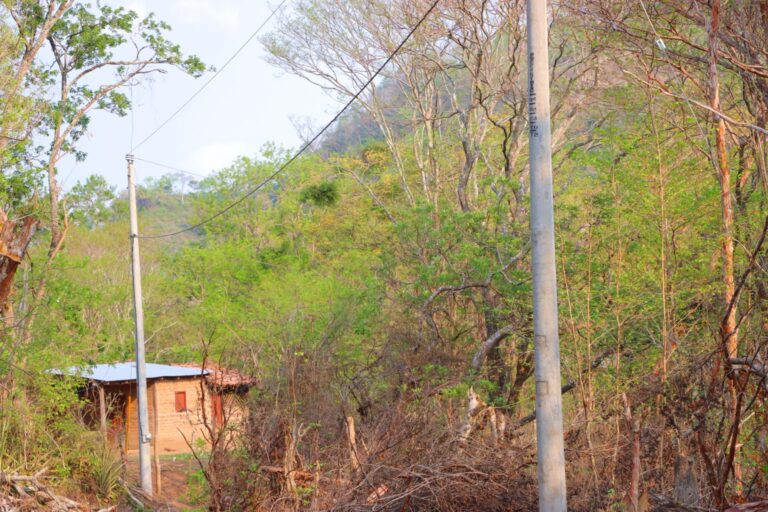 Inauguran proyecto de electrificación en San José de los Remates