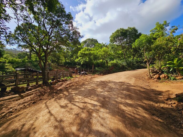 Rehabilitan camino productivo en Las Cuevas