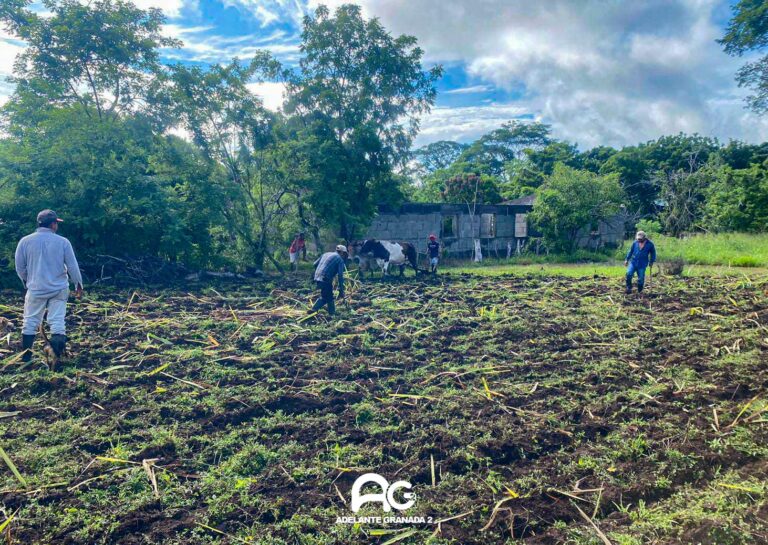 Productores experimentan progreso significativo en Granada