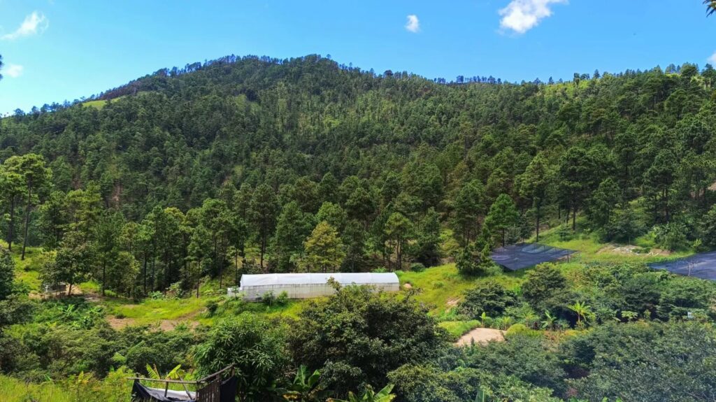 Oasis de Conocimiento y Aventura.