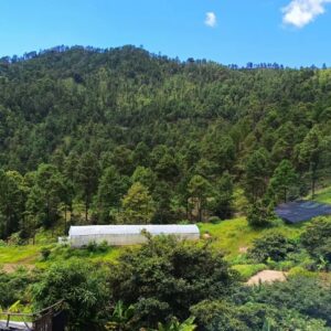 Oasis de Conocimiento y Aventura.