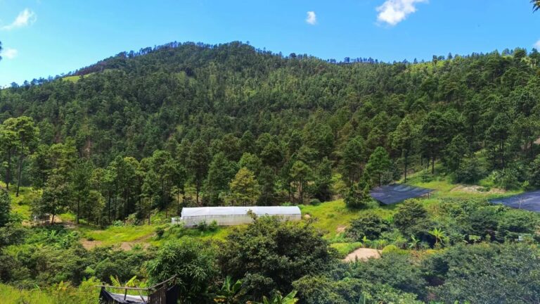 Centro Tecnológico Miguel Ángel Ortez, oasis de Conocimiento y Aventura en Dipilto