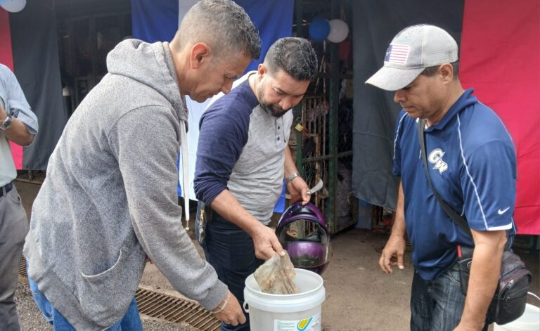 Realizan Tercera Campaña Nacional de Desratización en Matagalpa