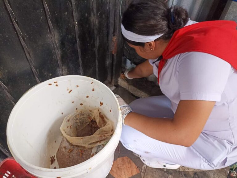 Lanzan Tercera Campaña de Desratización en Masaya