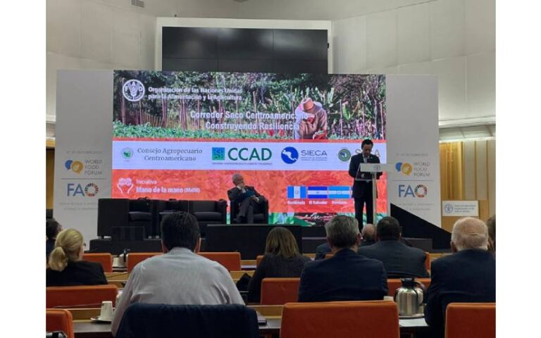 Nicaragua en exposición “Corredor Seco Centroamericano Construyendo Resiliencia” en la FAO