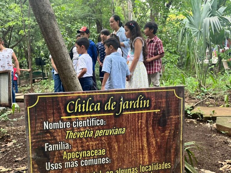 Niños del barrio San Judas aprenden sobre los árboles frutales y forestales