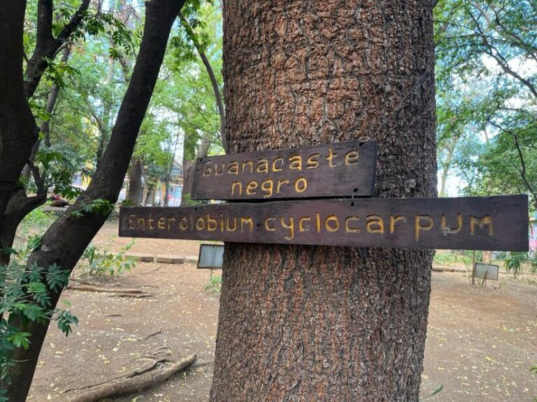 Realizan encuentro “Reciclando con Amor” en el Arboretum Nacional