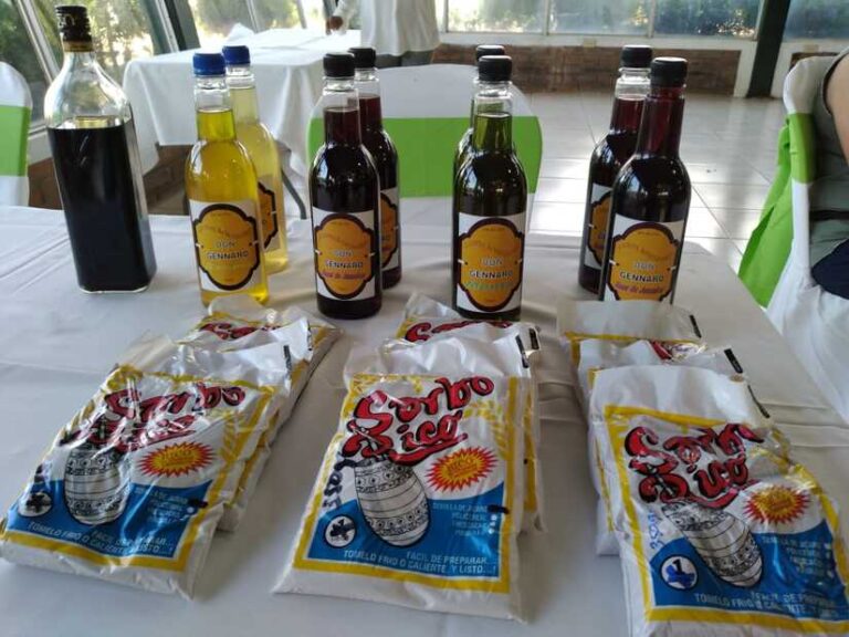 Productores conocen sobre cadena de valor del cultivo del cacao