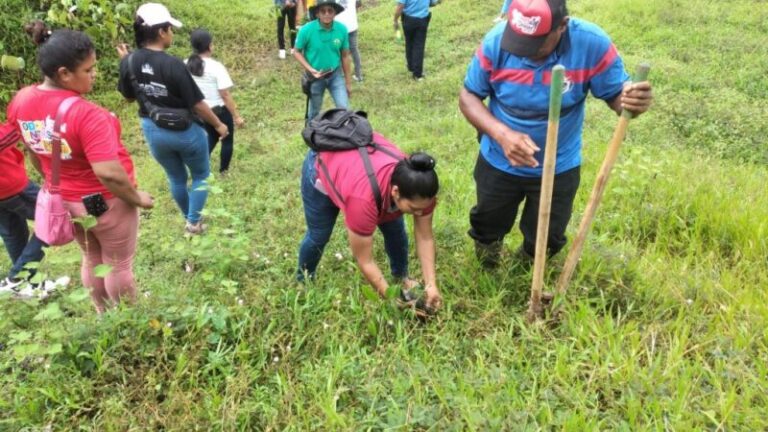 En un 82% avanza la campaña “Verde que te quiero Verde”