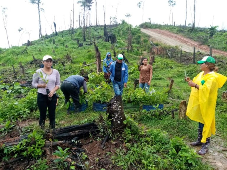 Alrededor de 700 vive veros comunitarios serán establecidos en noviembre
