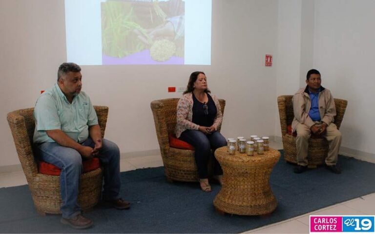 INTA realiza Congreso Nacional de Innovación para la Producción de Arroz Secano