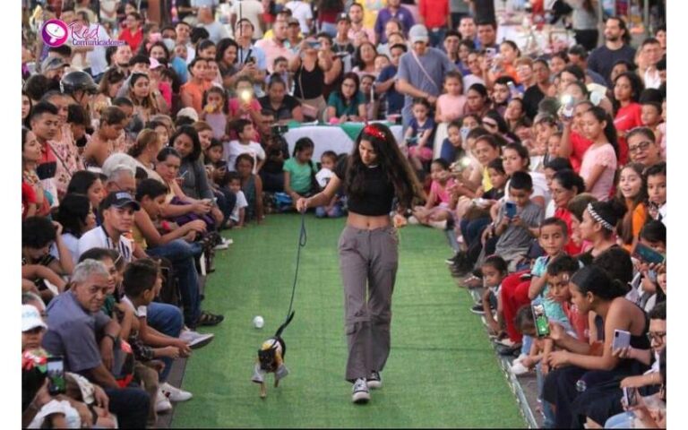 Amor a los animales en las Pasarelas de Mascotas de León Sur y Las Minas