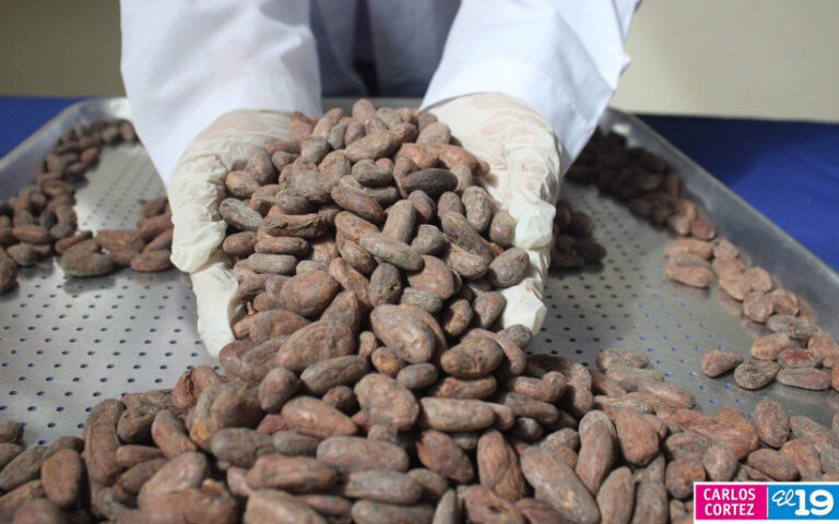Instalan Escuela de Procesamiento del Cacao en Matagalpa