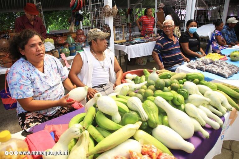 Realizan Feria Agroambiental en Managua