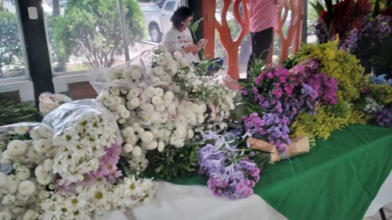 MEFCCA publica guía para cultivo de flores