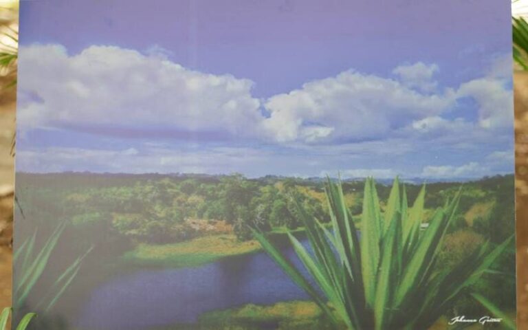 Finaliza concurso Fotográfico “Cuidemos los Humedales”