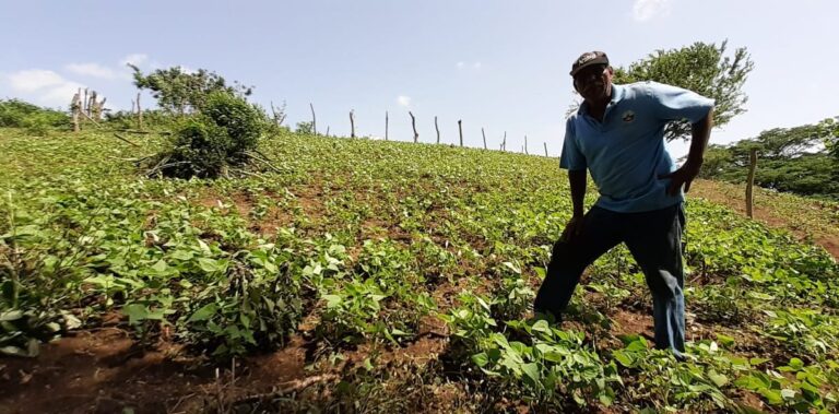 Anuncian inauguración de otro Centro Nacional de Desarrollo de Tecnologías Agropecuarias