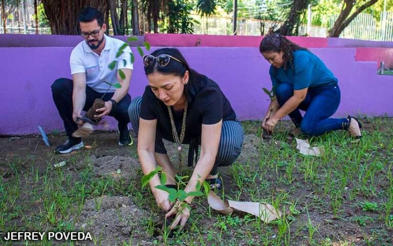 Un total de 4 millones de plantas para reforestar áreas afectadas por Julia