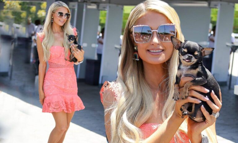 Paris Hilton Ofrece millonaria suma de dinero quien encuentre a su mascota