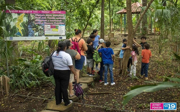 Niños aprenden a cuidar los árboles