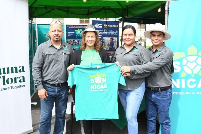 Realizan Festival para proteger las tortugas marinas