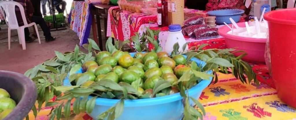 Celebrarán II Feria del Jocote en Macuelizo