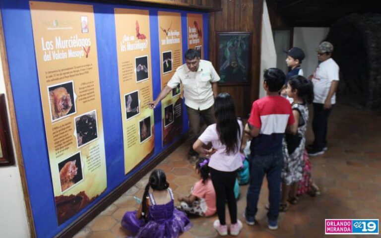 Sensibilizan a la niñez sobre las bondades de la naturaleza