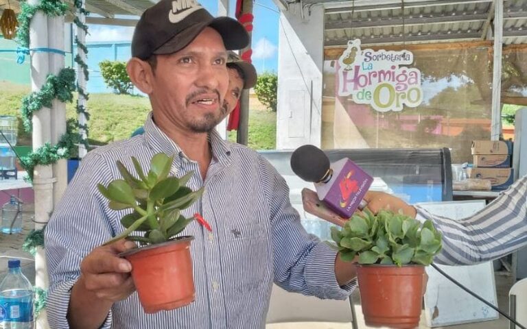 Realiza Festival Navideño de las Flores, Cactus y Suculentas en el PNF