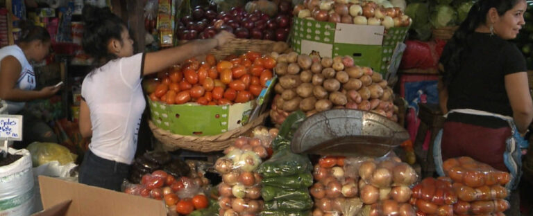 Reportan que seis productos de la canasta básica bajaron levemente sus precios