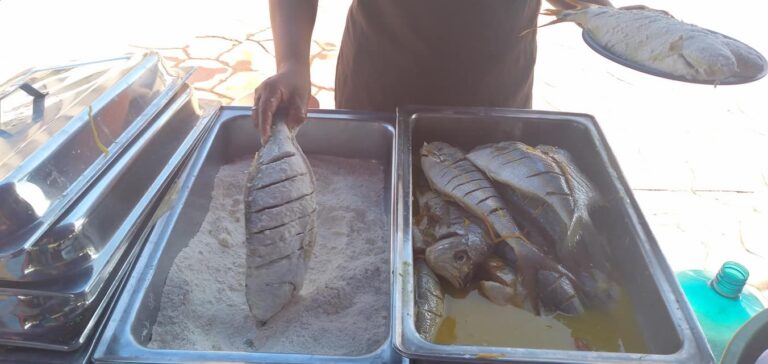 Familias disfrutan de la Feria del Mar en Managua