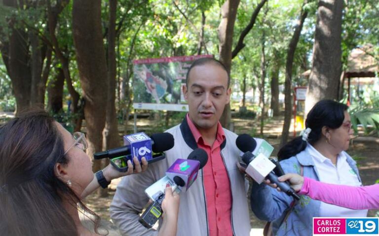 Realizan manualidades infantiles “Mi Creación, Mi Arte y Amor a los Árboles” 