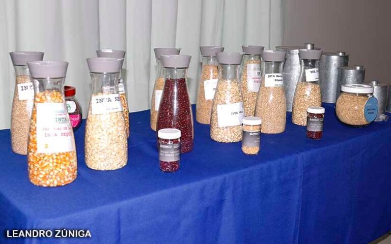 INTA presenta alternativas tecnológicas para buen manejo de cultivos durante el invierno