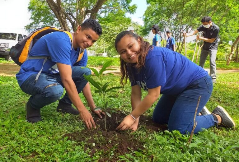 Más de 12 millones de árboles se han sembrado en el país
