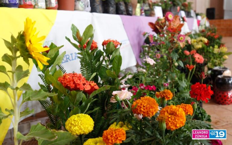 Catarina celebra tres días del Carnaval de las Flores