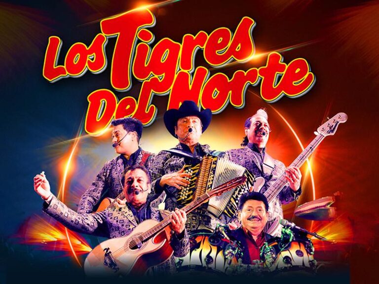 Nicaragua se prepara para rugir con los Tigres del Norte