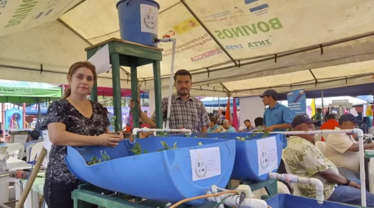 Chinandega sede del Certamen de Innovación Agropecuaria